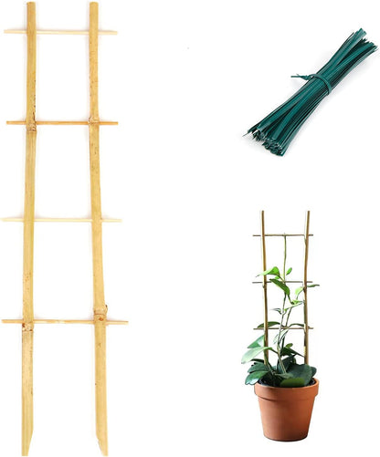 Plant Trellis Indoor, 3 Pack Bamboo Trellises, 16in Fan-Shaped Trellis for Potted Plants Climbing Plants Hoya Vine Ivy