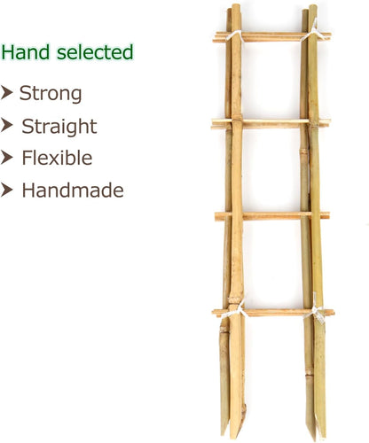 Plant Trellis Indoor, 3 Pack Bamboo Trellises, 16in Fan-Shaped Trellis for Potted Plants Climbing Plants Hoya Vine Ivy