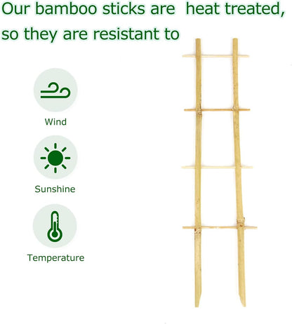 Plant Trellis Indoor, 3 Pack Bamboo Trellises, 16in Fan-Shaped Trellis for Potted Plants Climbing Plants Hoya Vine Ivy