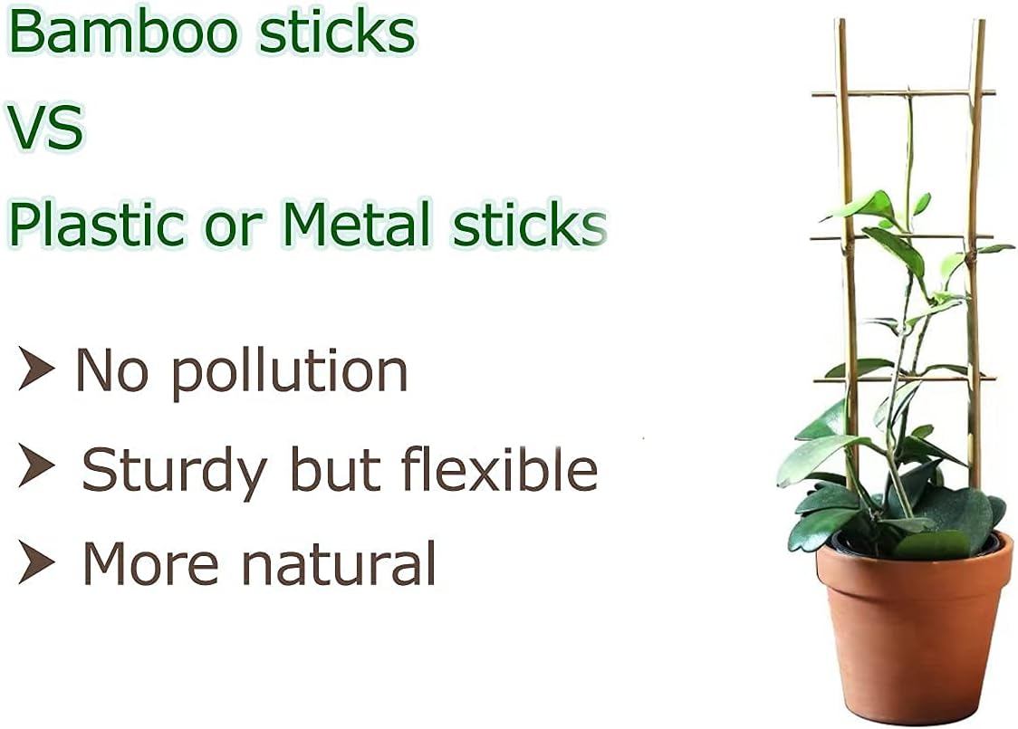 Plant Trellis Indoor, 3 Pack Bamboo Trellises, 16in Fan-Shaped Trellis for Potted Plants Climbing Plants Hoya Vine Ivy