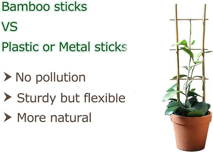 Plant Trellis Indoor, 3 Pack Bamboo Trellises, 16in Fan-Shaped Trellis for Potted Plants Climbing Plants Hoya Vine Ivy