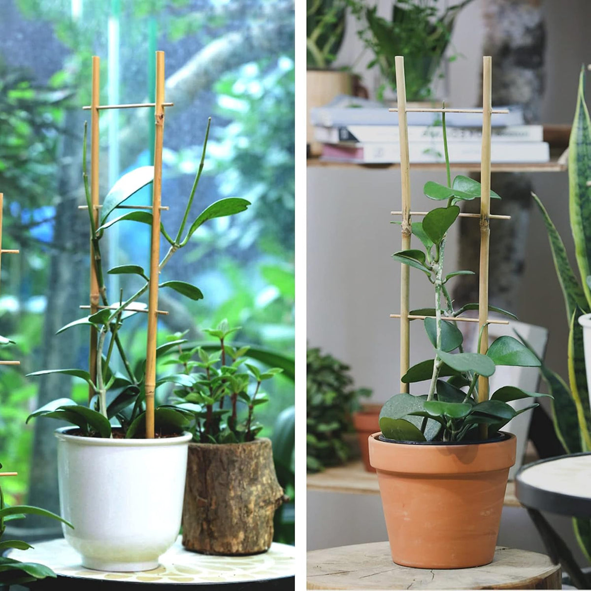 Plant Trellis Indoor, 3 Pack Bamboo Trellises, 16in Fan-Shaped Trellis for Potted Plants Climbing Plants Hoya Vine Ivy