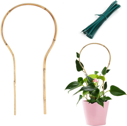Plant Trellis Indoor, 3 Pack Bamboo Trellises, 16in Fan-Shaped Trellis for Potted Plants Climbing Plants Hoya Vine Ivy