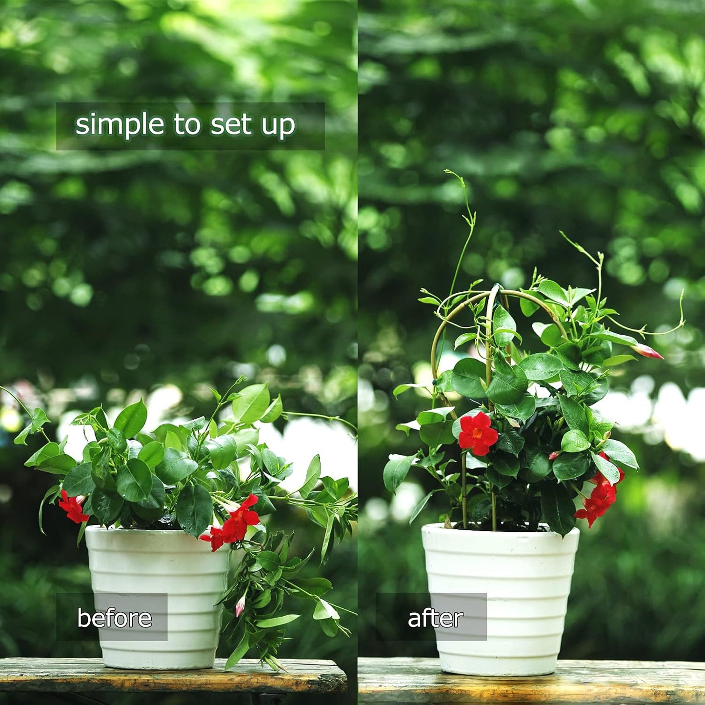 Plant Trellis Indoor, 3 Pack Bamboo Trellises, 16in Fan-Shaped Trellis for Potted Plants Climbing Plants Hoya Vine Ivy