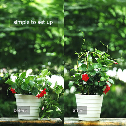 Plant Trellis Indoor, 3 Pack Bamboo Trellises, 16in Fan-Shaped Trellis for Potted Plants Climbing Plants Hoya Vine Ivy