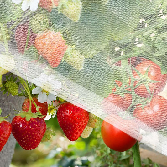 Garden Netting 10 x 5 FT - 60 Mesh Plant Cover for Raised Beds