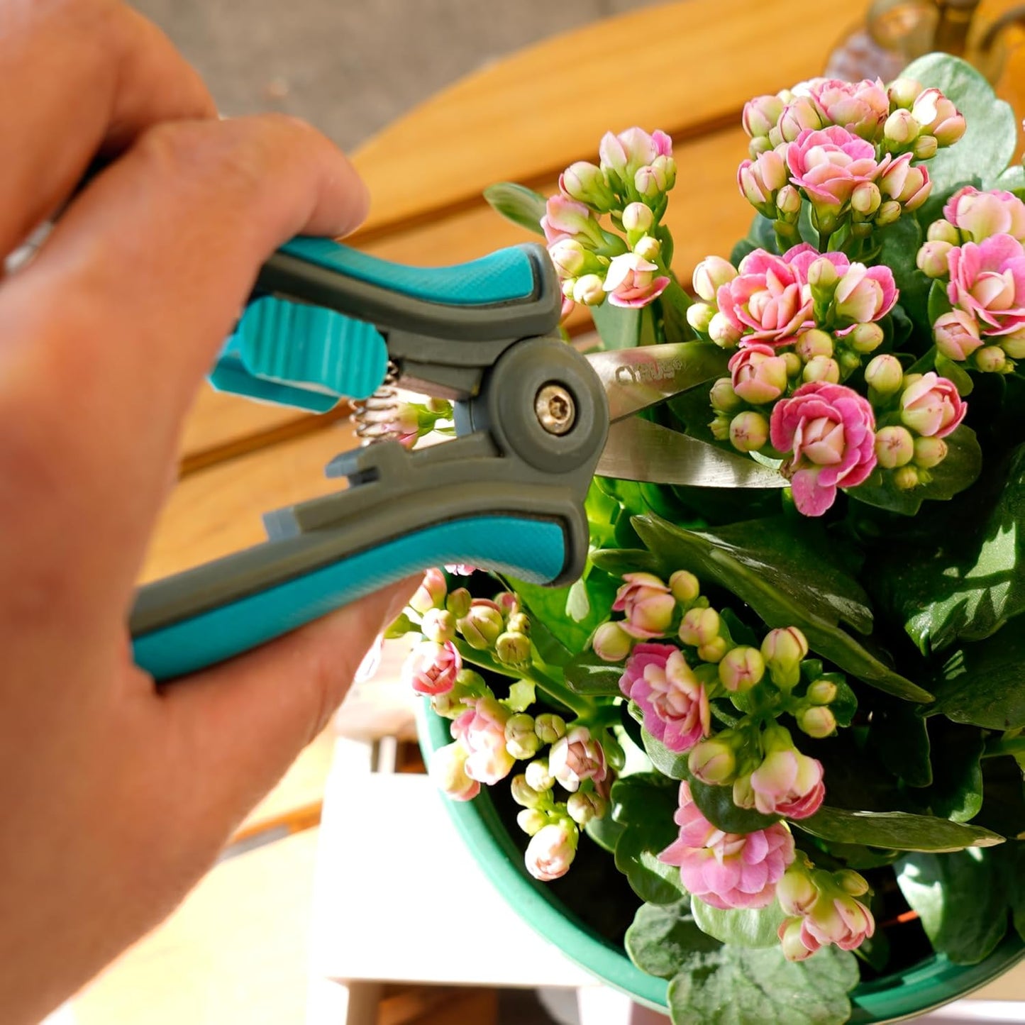 6 Inch Micro Tip Pruning Snips Stainless Steel Floral Bonsai Shears