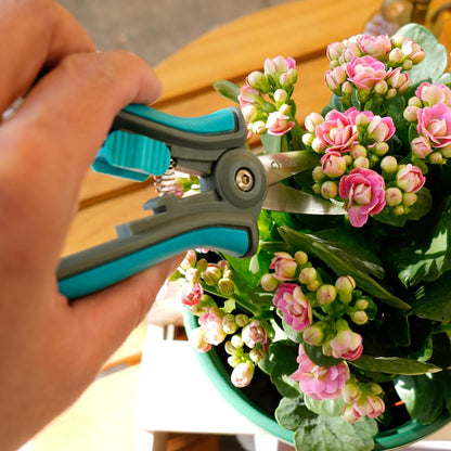 6 Inch Micro Tip Pruning Snips Stainless Steel Floral Bonsai Shears