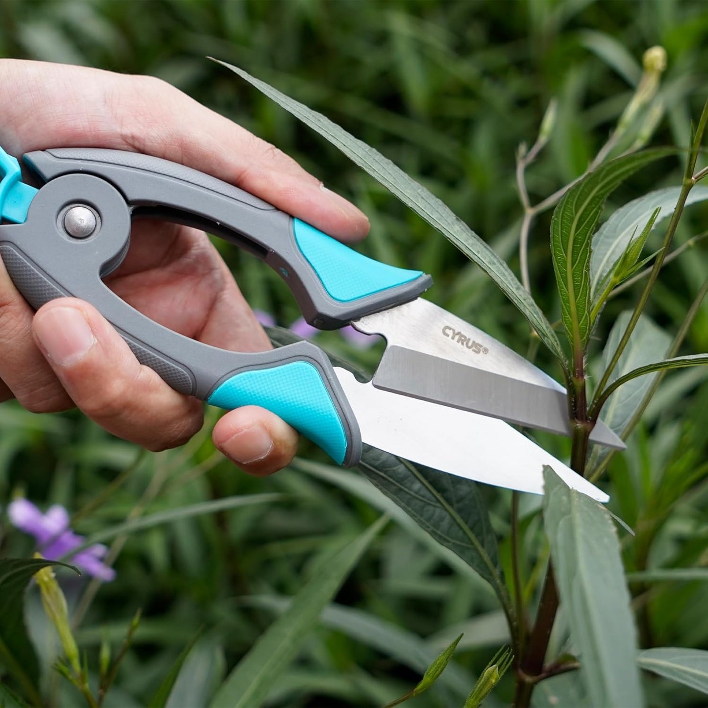 6 Inch Micro Tip Pruning Snips Stainless Steel Floral Bonsai Shears