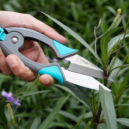 6 Inch Micro Tip Pruning Snips Stainless Steel Floral Bonsai Shears