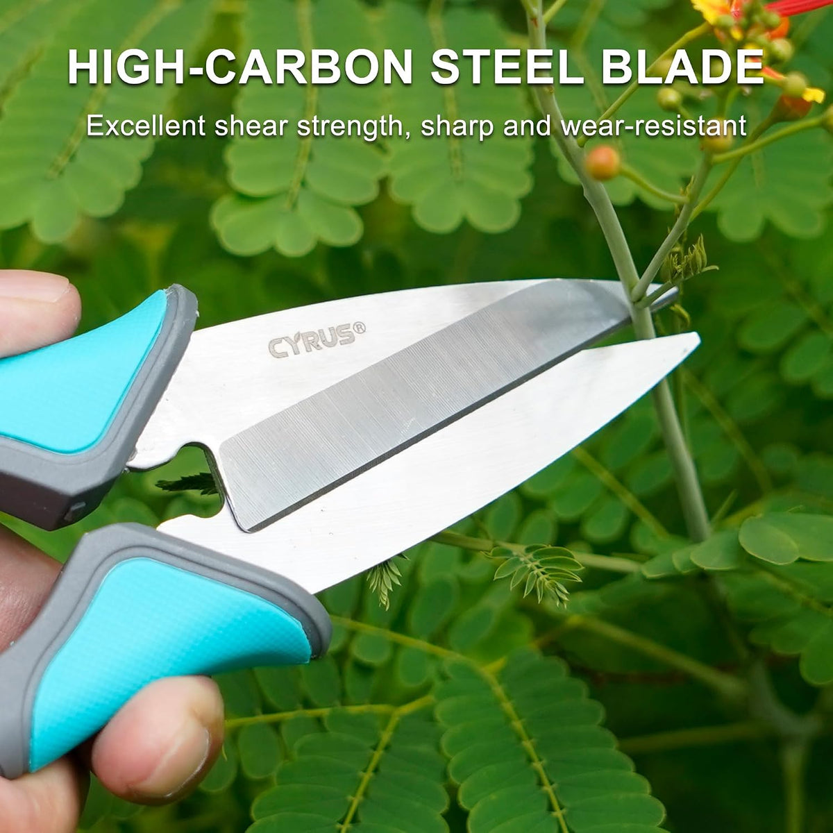 6 Inch Micro Tip Pruning Snips Stainless Steel Floral Bonsai Shears