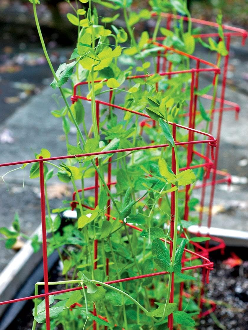 Sturdy Expandable Tall Pea Trellis for Climbing Plants | Multi-Use Heavy Duty Outdoor Garden Peas, Tomato, Cucumber Steel Plant Support | 9'-8" L x 37" H - Green