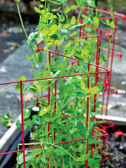 Sturdy Expandable Tall Pea Trellis for Climbing Plants | Multi-Use Heavy Duty Outdoor Garden Peas, Tomato, Cucumber Steel Plant Support | 9'-8" L x 37" H - Green