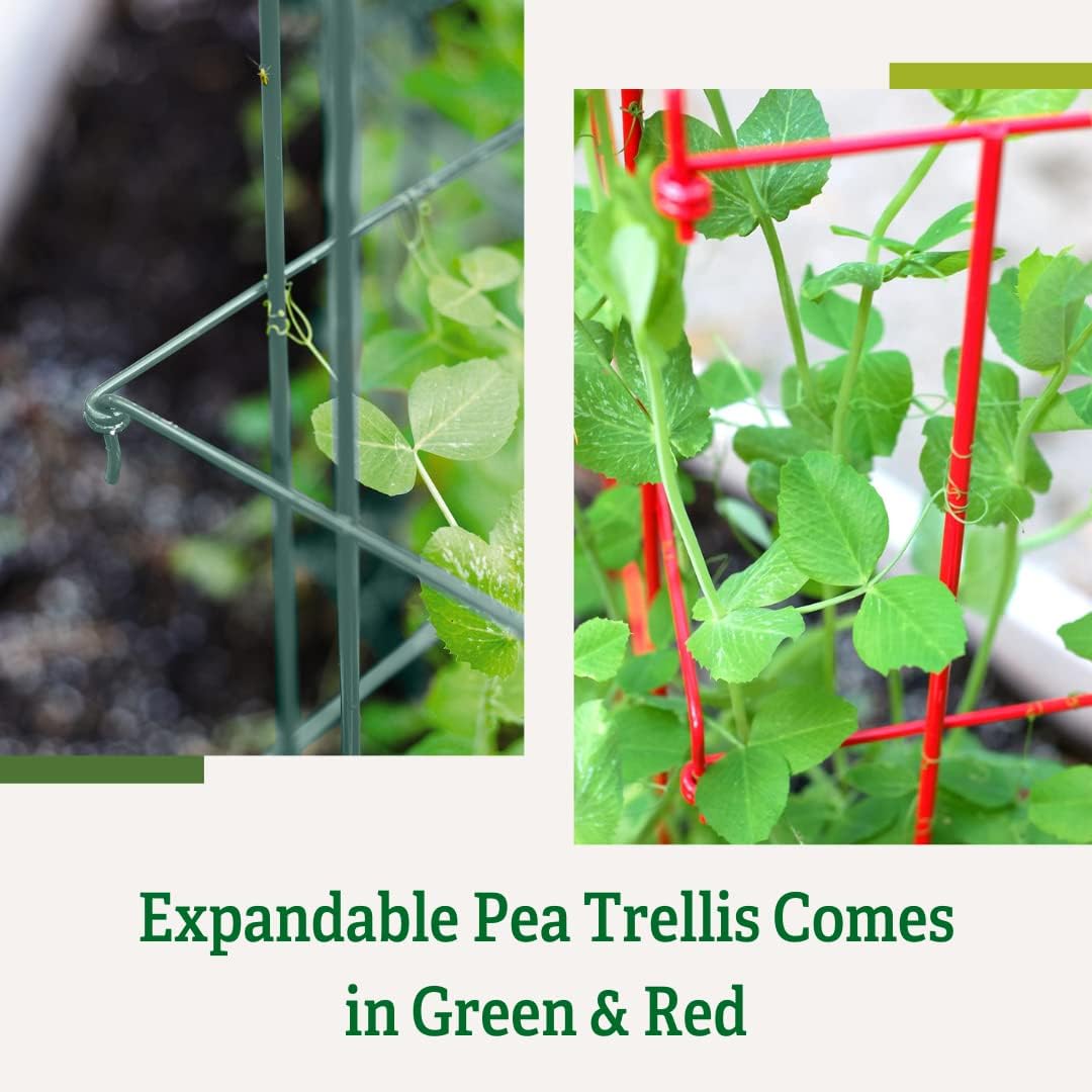 Sturdy Expandable Tall Pea Trellis for Climbing Plants | Multi-Use Heavy Duty Outdoor Garden Peas, Tomato, Cucumber Steel Plant Support | 9'-8" L x 37" H - Green