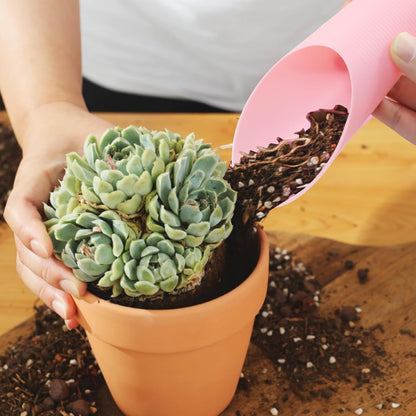 6 Pcs Bonsai Soil Scoops Plastic Garden Shovels