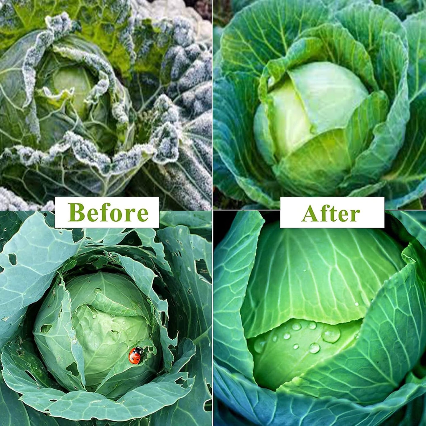Plant Covers Freeze Protection, 10ft x 30ft 1.0oz/yd² Reusable Floating Row Cover, Frost Cloth for Outdoor Plants, Breathable Frost Blanket for Winter Cold Weather & Pest Protection