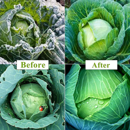 Plant Covers Freeze Protection, 10ft x 30ft 1.0oz/yd² Reusable Floating Row Cover, Frost Cloth for Outdoor Plants, Breathable Frost Blanket for Winter Cold Weather & Pest Protection