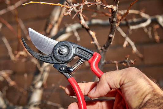 Corona BP 3640 Forged Steel ErgoACTION Angled Bypass Hand Pruner - 3/4 inch Cut Capacity Stem and Branch Garden Shears, Red