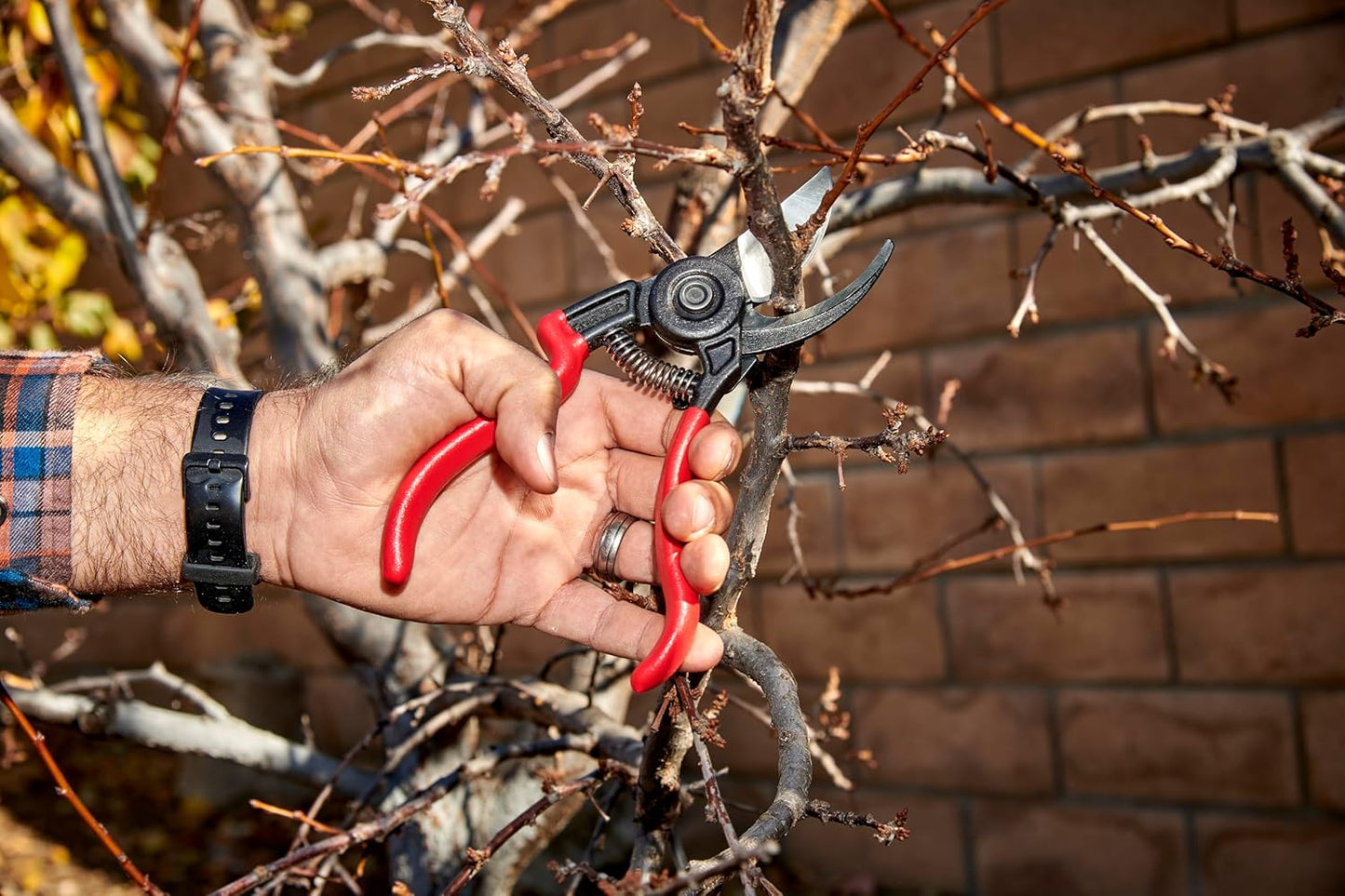 Corona BP 3640 Forged Steel ErgoACTION Angled Bypass Hand Pruner - 3/4 inch Cut Capacity Stem and Branch Garden Shears, Red
