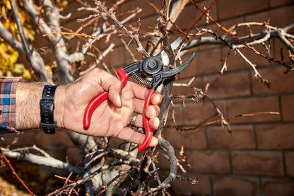Corona BP 3640 Forged Steel ErgoACTION Angled Bypass Hand Pruner - 3/4 inch Cut Capacity Stem and Branch Garden Shears, Red