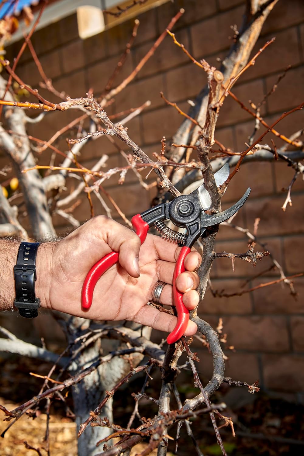 Corona BP 3640 Forged Steel ErgoACTION Angled Bypass Hand Pruner - 3/4 inch Cut Capacity Stem and Branch Garden Shears, Red