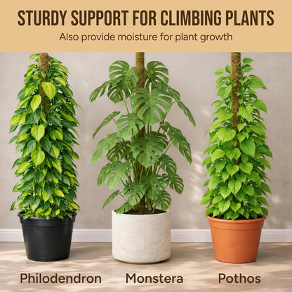 Craft911 29" Moss Pole Monstera Plant Support, Indoor Plant Stakes