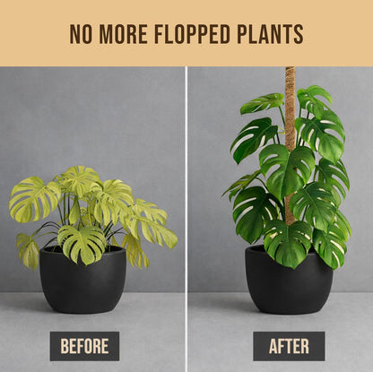 Craft911 29" Moss Pole Monstera Plant Support, Indoor Plant Stakes