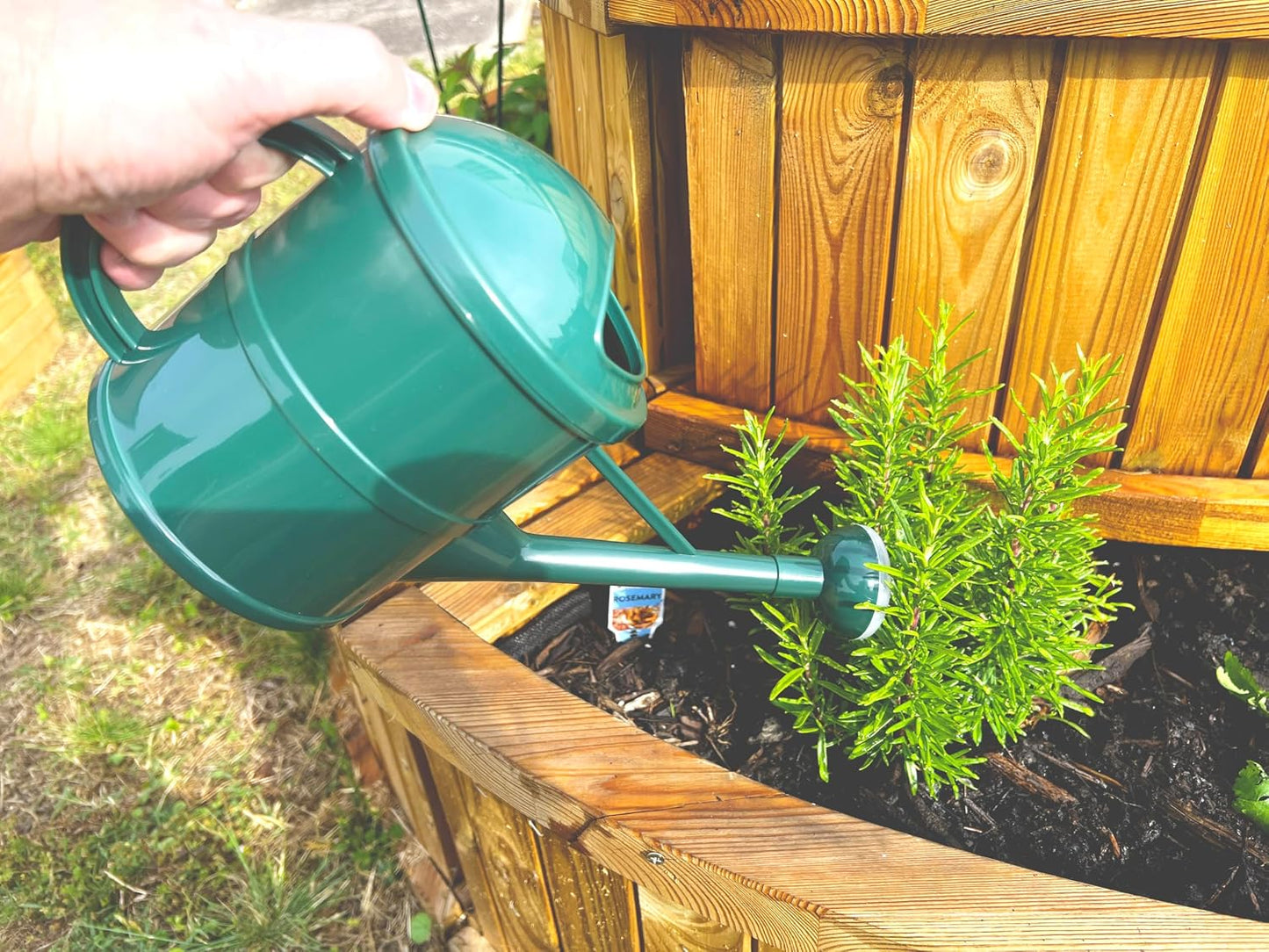 V556G 1.5L Porous Watering Can - Green