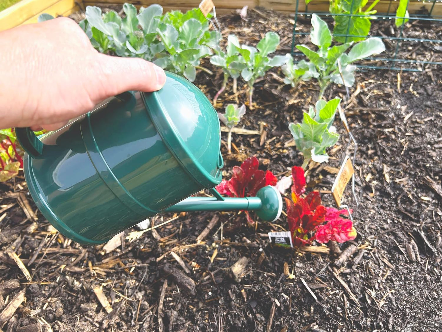 V556G 1.5L Porous Watering Can - Green