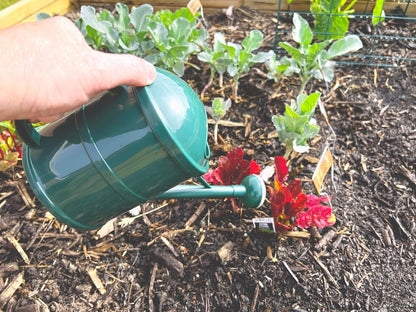 V556G 1.5L Porous Watering Can - Green