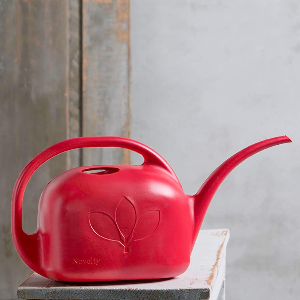 Root & Vessel Indoor Watering Can, 1 Gallon, Sky Blue