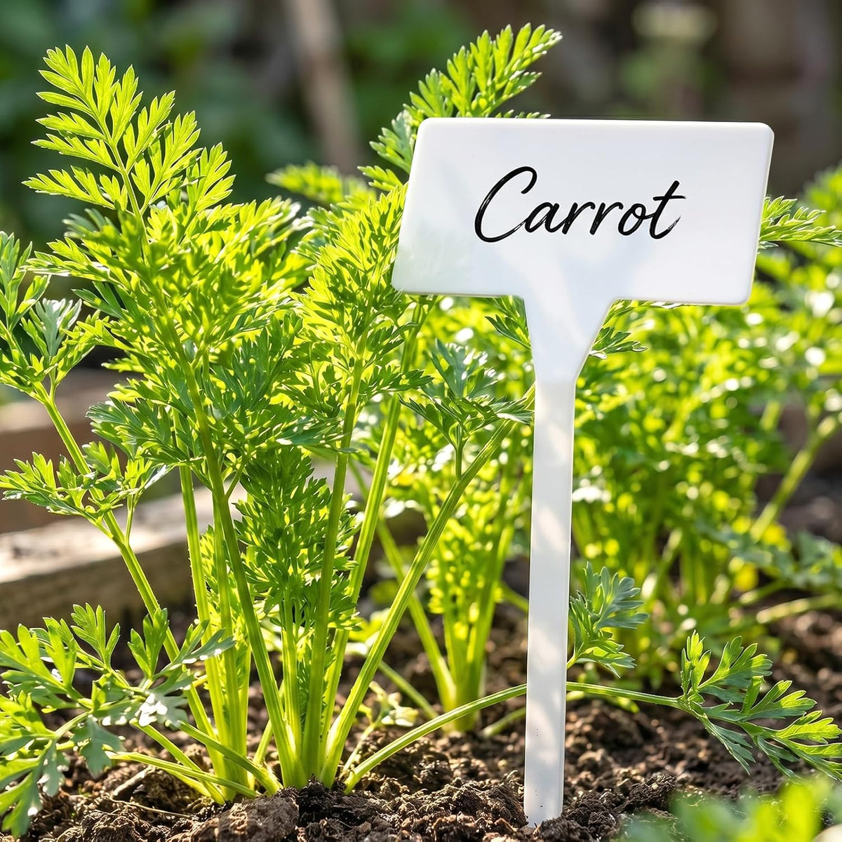 Outdoor Plastic Plant Labels 30 Pack 11.8 inch Outdoor