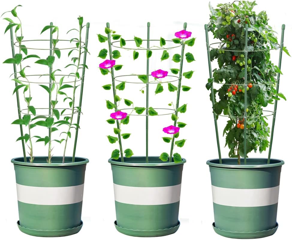 Plant Support Cages for Climbing Plant Upgrade Flower Tomato cage with Stand Stakes and Stable Support Rings, 3 Pack with 12 Clips (36")