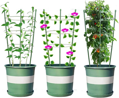 Plant Support Cages for Climbing Plant Upgrade Flower Tomato cage with Stand Stakes and Stable Support Rings, 3 Pack with 12 Clips (36")