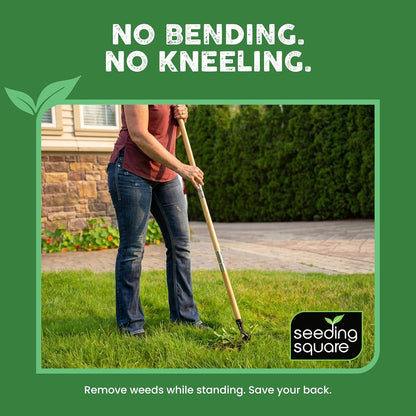Stand-Up Weed Puller Tool with Long Handle for Dandelions and Garden Weeds.