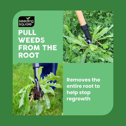 Stand-Up Weed Puller Tool with Long Handle for Dandelions and Garden Weeds.