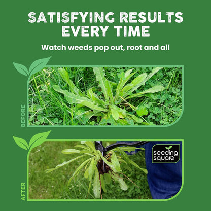 Stand-Up Weed Puller Tool with Long Handle for Dandelions and Garden Weeds.