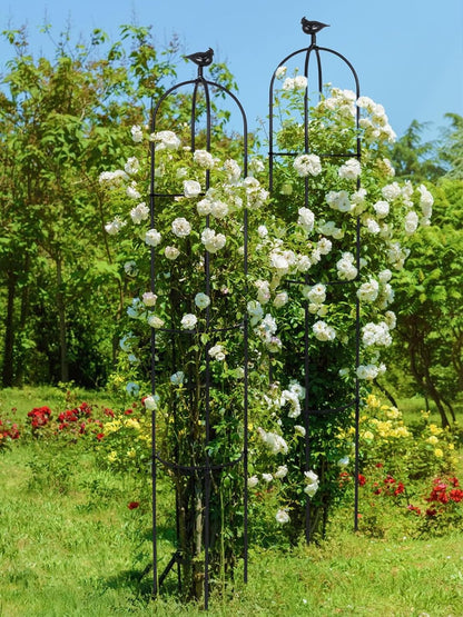 2PCS 6FT Obelisk Trellis for Climbing Plants, Garden Tower Trellis