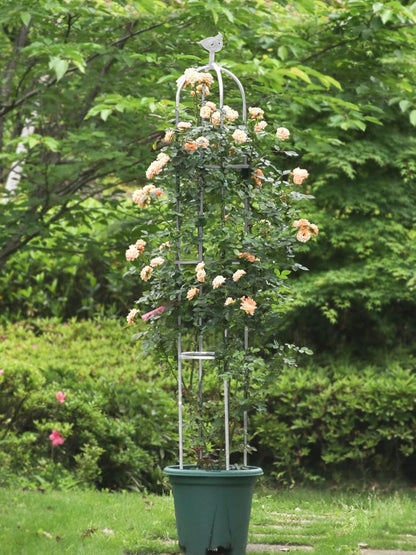 2PCS 6FT Obelisk Trellis for Climbing Plants, Garden Tower Trellis