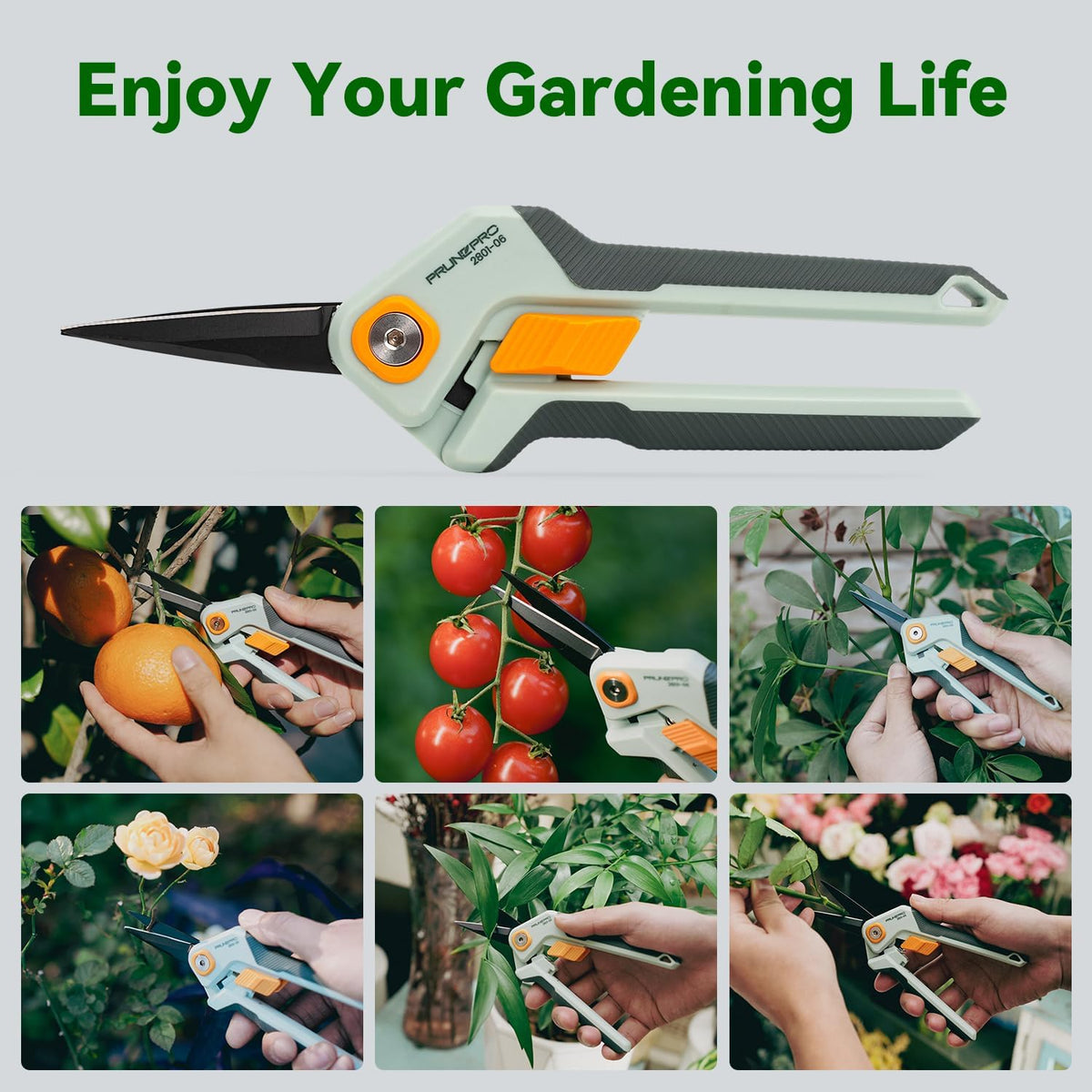 Garden Scissors Pruning Shears Sharp Stainless Steel Non-Stick Teflon Coating Blade for Precise Cuts Garden Snip Bonsai Clippers for Plants Rose Flower 3 Pack