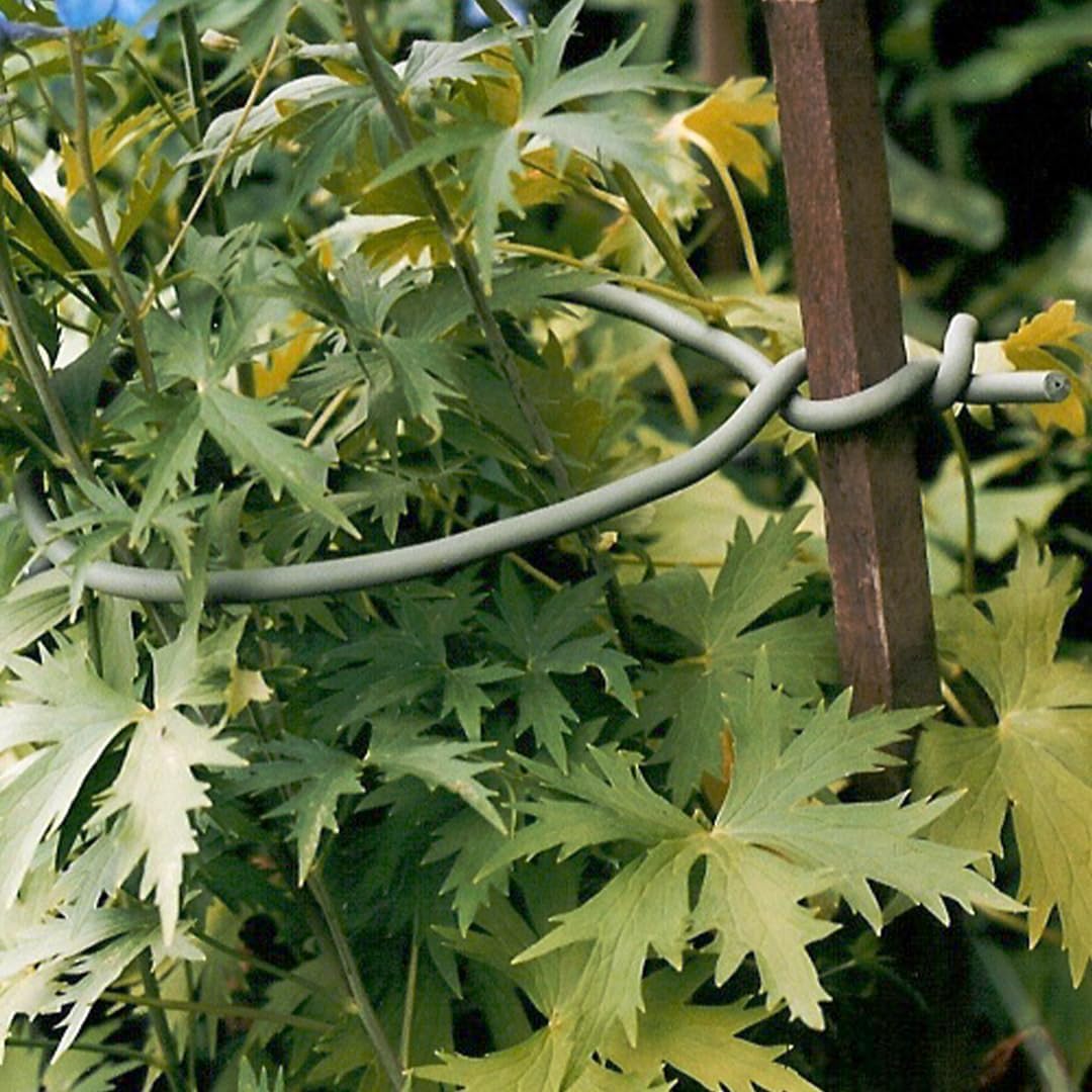 Garden Twist Tie - Soft UV Stabilised, Rust Proof, Soft-Tree Tie - 26.3' - Rubber Compound/Galvanized Steel