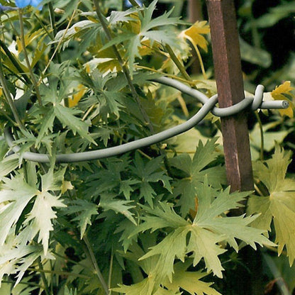 Garden Twist Tie - Soft UV Stabilised, Rust Proof, Soft-Tree Tie - 26.3' - Rubber Compound/Galvanized Steel