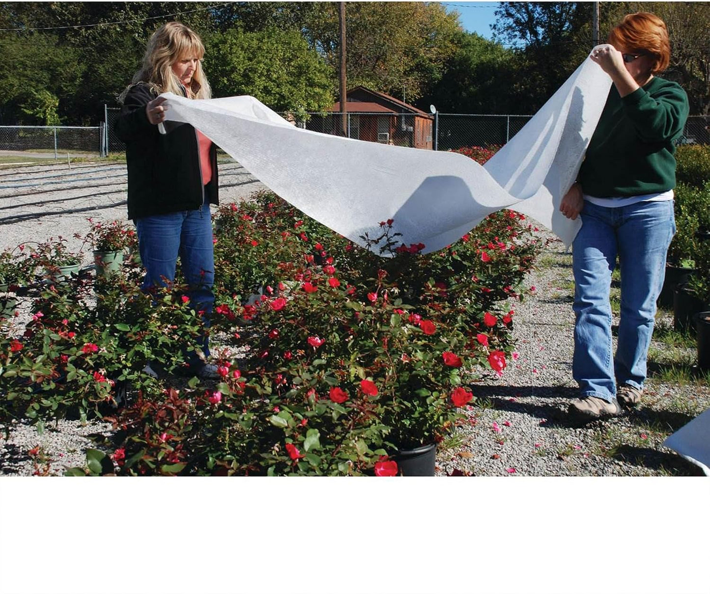 Dewitt Plant Cover Fabric-Frost Protection-4-Pack 6 x 50 ft-Polypropylene