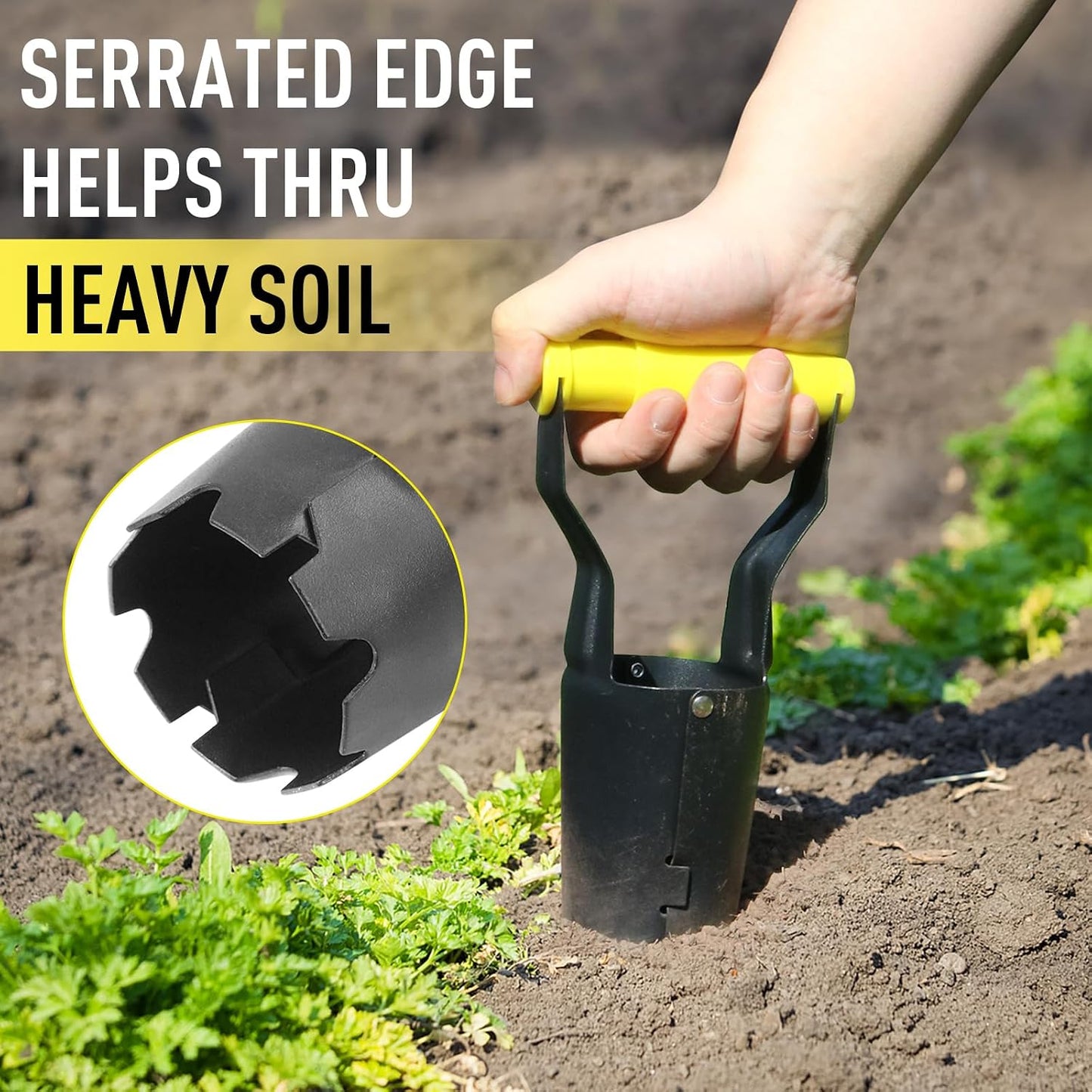 Small Bulb Planter Tool– Compact Stainless Steel Transplanter for Bulbs, Seedlings & Flowers – Ergonomic Handle with Depth Markings – Silver & Black– Durable Garden Planting Tool