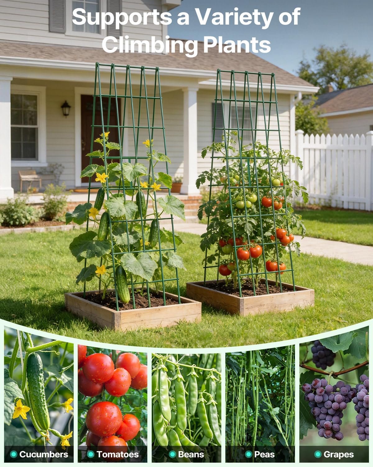 A-Frame Cucumber Trellis 59.4" 2 Pack, Foldable Metal