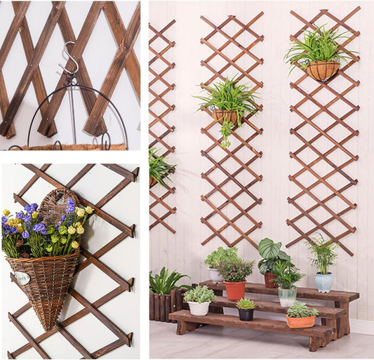 2Pack Expandable Wooden Lattice Wall,Plant Garden Trellis for Climbing Plants Outdoor, Plant Vertical Rack Wall Decor Indoor