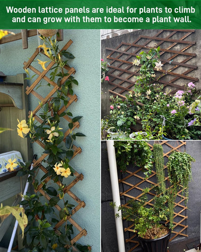 2Pack Expandable Wooden Lattice Wall,Plant Garden Trellis for Climbing Plants Outdoor, Plant Vertical Rack Wall Decor Indoor