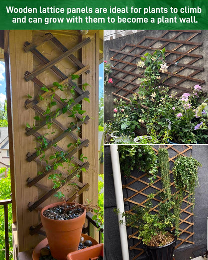 2Pack Expandable Wooden Lattice Wall,Plant Garden Trellis for Climbing Plants Outdoor, Plant Vertical Rack Wall Decor Indoor