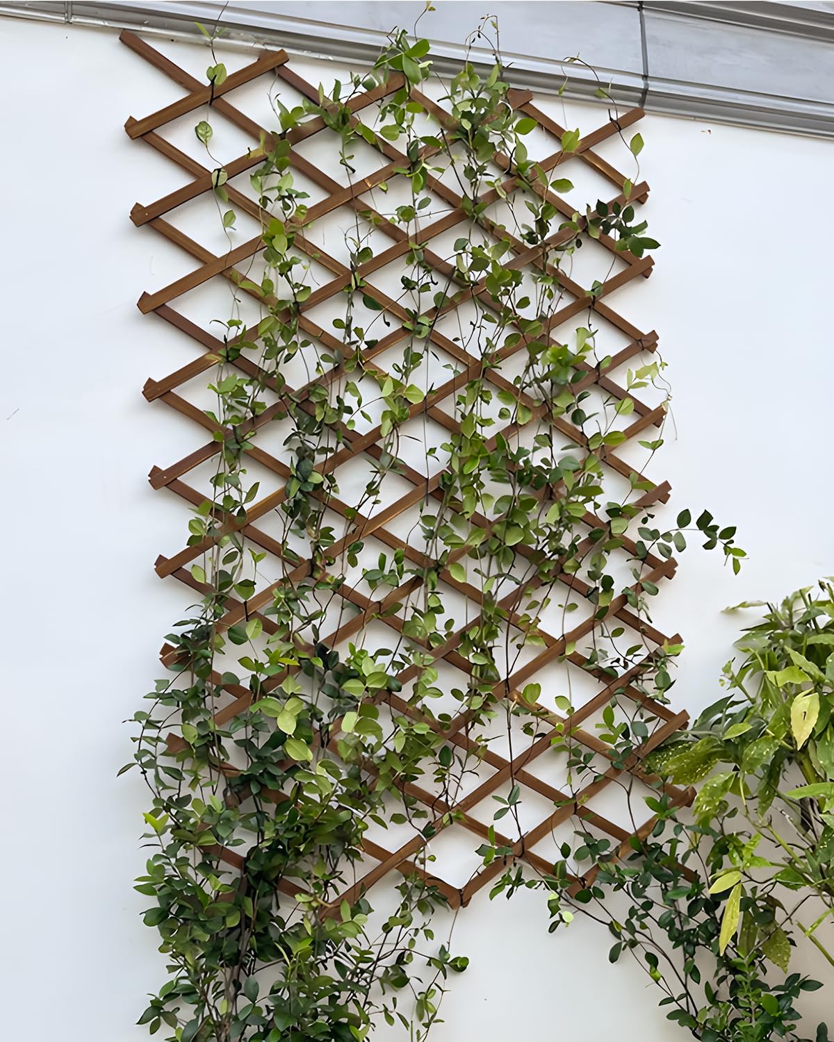 2Pack Expandable Wooden Lattice Wall,Plant Garden Trellis for Climbing Plants Outdoor, Plant Vertical Rack Wall Decor Indoor