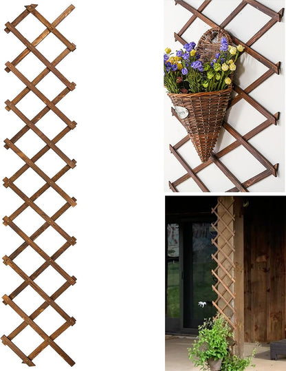 2Pack Expandable Wooden Lattice Wall,Plant Garden Trellis for Climbing Plants Outdoor, Plant Vertical Rack Wall Decor Indoor
